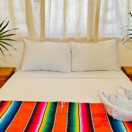 Casa Erizo Mahahual - Adults Only Villa Eksteriør bilde